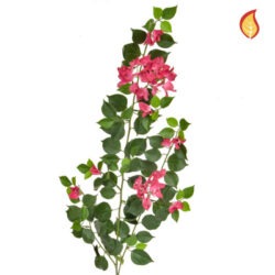 Pink Climber Foliage FR