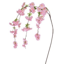 Cherry blossom branch Pink