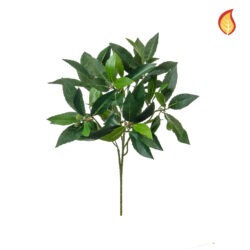Bay Leaf FR