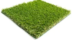 HARMONY Plus Eco Grass