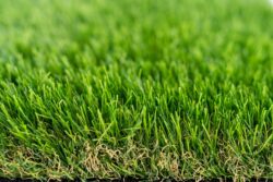 Trulawn Deluxe 40 mm Artificial Grass