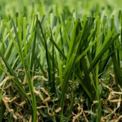 Trulawn Supreme Artificial Grass
