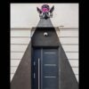 angel of love led Art