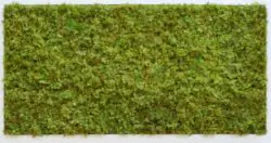 Moss wall panel (1 m2) FR + UV
