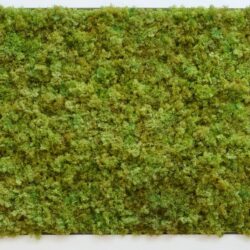Moss wall panel (1 m2) FR + UV