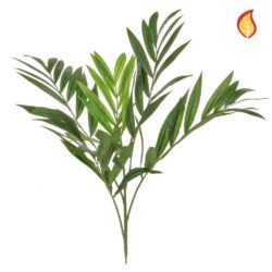 Palm Branch FR