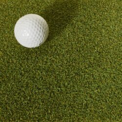 Proline 16MM putting green grass