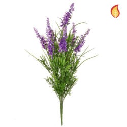 Purple grass foliage
