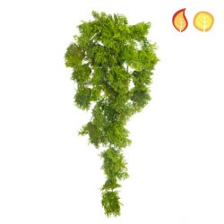 Trailing moss FR + UV