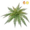 artificial fern dense