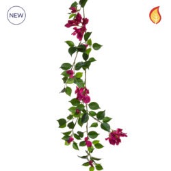 Hot Pink Climber Foliage FR