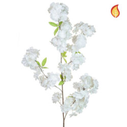 White Cherry blossom FR