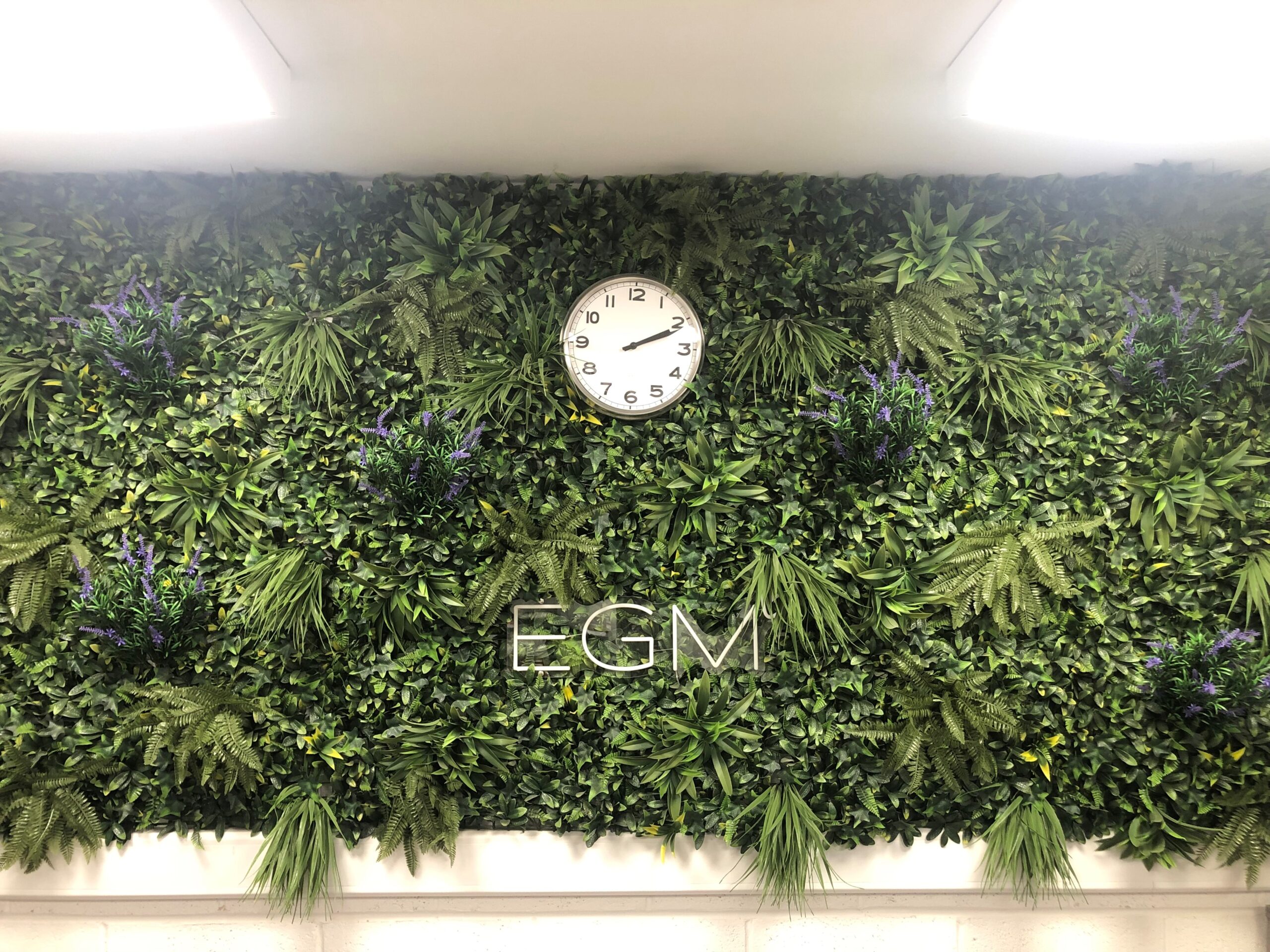 EGM Office