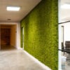 big moss wall