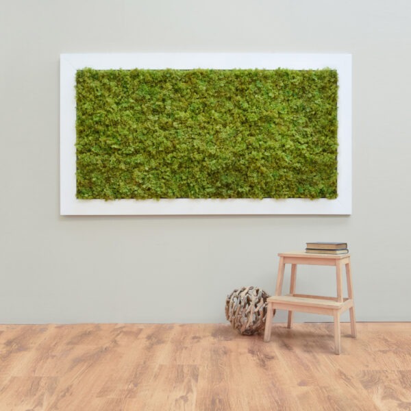 moss wall panel