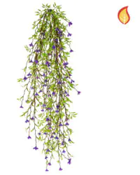 Purple Jasmine trailing plant