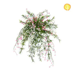 Baby's Breath Pink White Mix UV Infill
