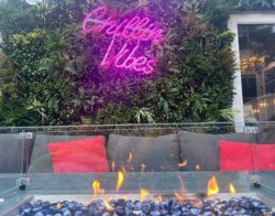 'Chillin Vibes' neon sign