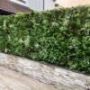 Spring White artificial wall panel on fence