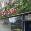 oasis ship cafe front foliage display