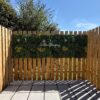 Bloom and led custom sign