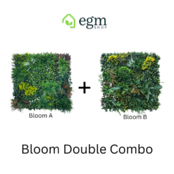 Bloom Double Combo A+B