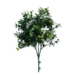 Boxwood Plant UV Infill