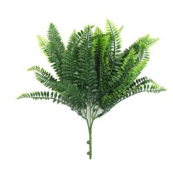 Fern UV Infill