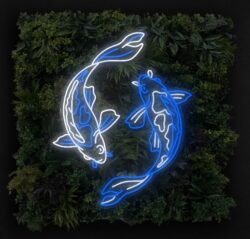 Koi Fish LED Neon Sign (Blue)