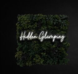 'Hidden Glamping' neon sign