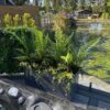 artificial plants in a planter modern