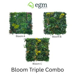 Bloom Triple Combo A+B+C