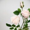 pale pink faux rose stem close