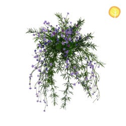 Baby's Breath Purple UV Infill
