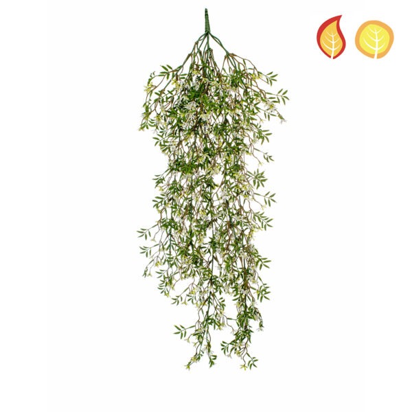 white trialing plant uv fr