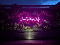 'Good Vibes Only' neon sign