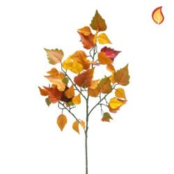 Autumn Birch leaf branch FR