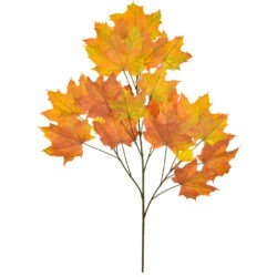 Maple Leaf Branch Foliage FR