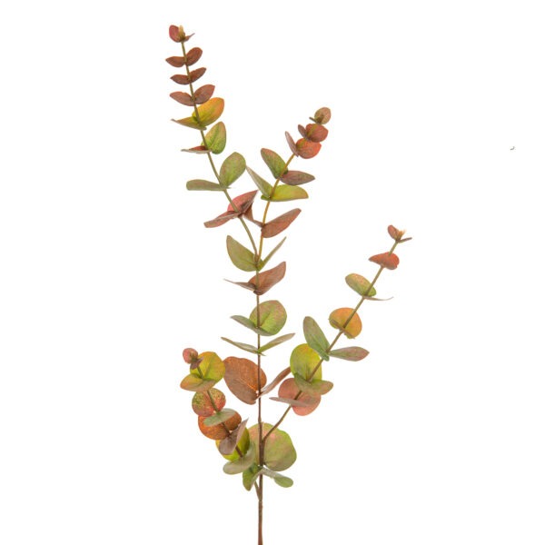 Eucalyptus Autumn Spray