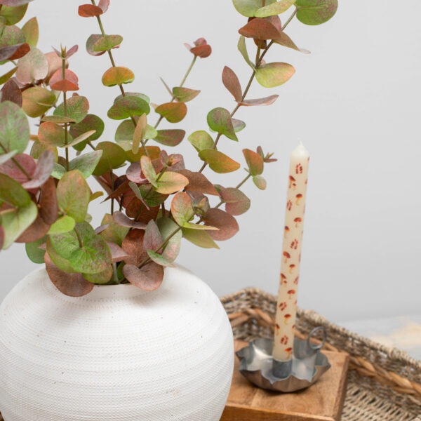 Eucalyptus Autumn Spray in pot