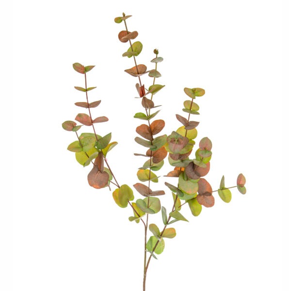 Eucalyptus Autumn Spray long