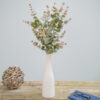 Eucalyptus