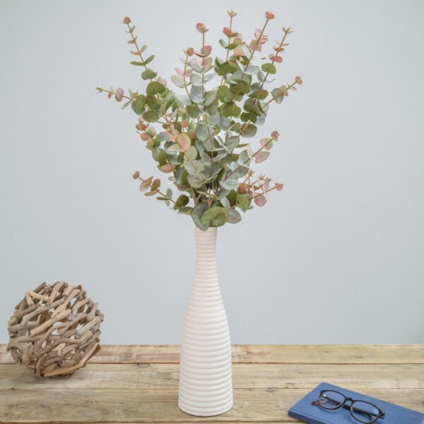 Eucalyptus
