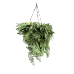 Hanging Spring Frame