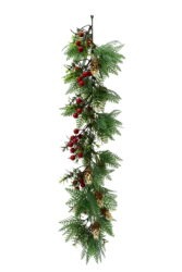 Trailing Pinecone Vine