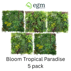 Bloom Tropical Paradise 5 pack