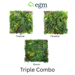 Bloom Tropical Paradise 3 pack